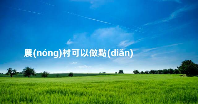 農(nóng)村可以做點(diǎn)什么項(xiàng)目